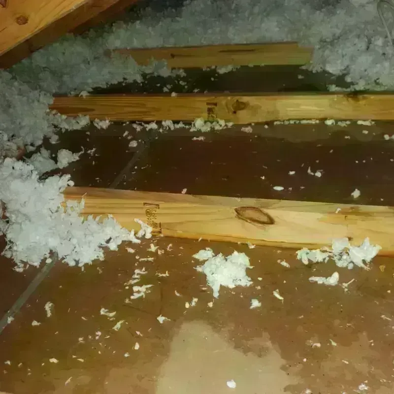 Attic Water Damage in Sandia Knolls, NM